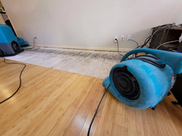 Professional Basement Flood Cleanup technician working in Yukon, OK